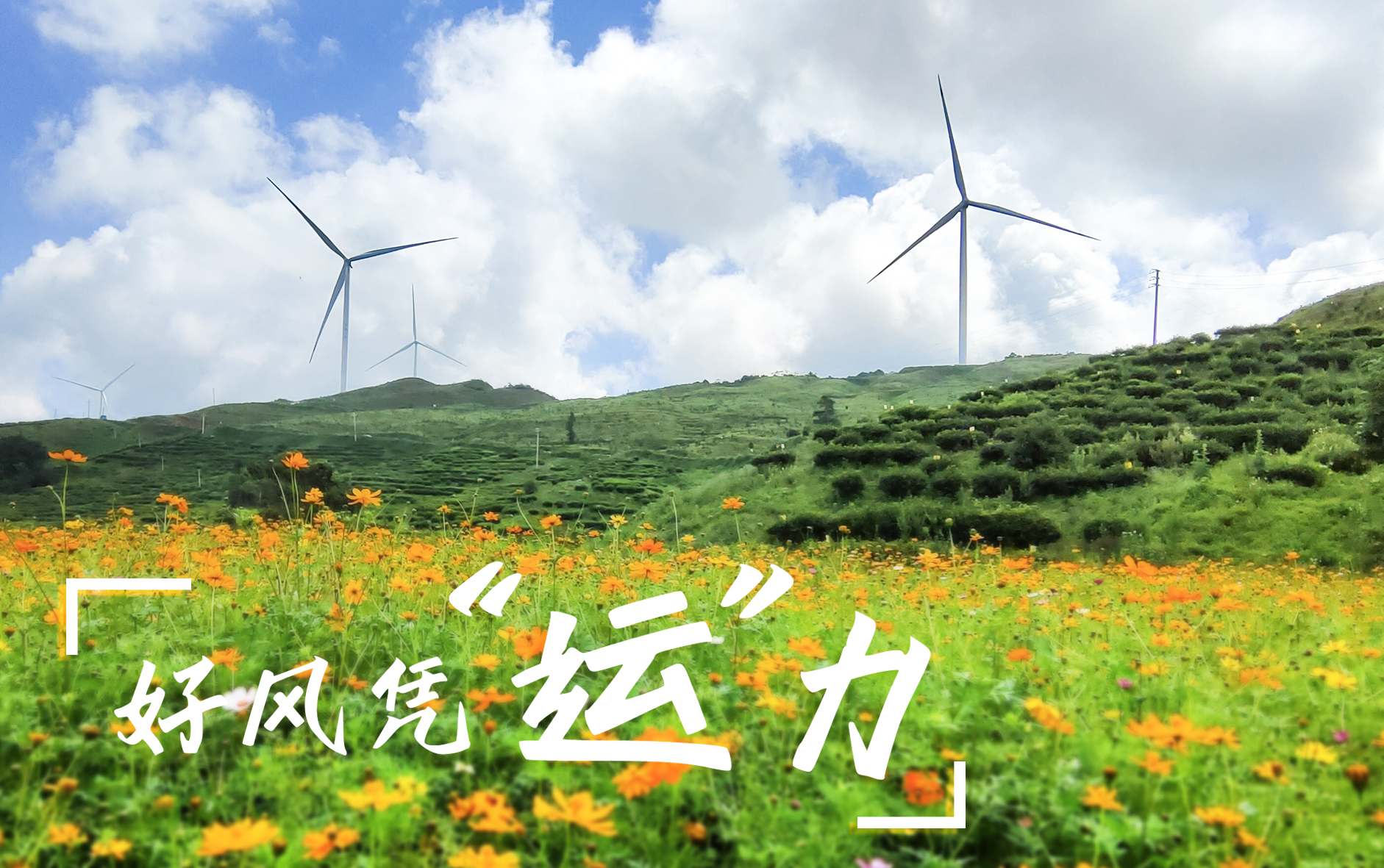 【好風(fēng)憑&ldquo;運(yùn)&rdquo;力】&ldquo;大風(fēng)車&rdquo;轉(zhuǎn)出鄉(xiāng)村振興新路子